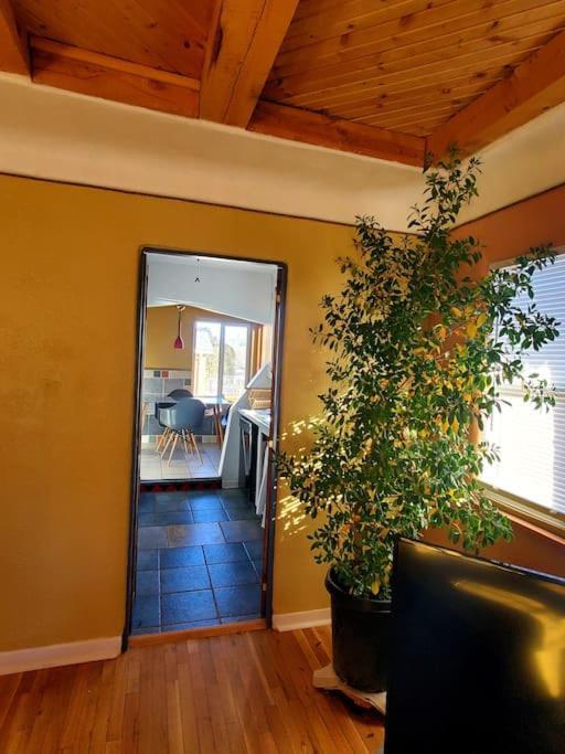 Lovely 2Br Pet Friendly Home In Heart Of Nob Hill Albuquerque Zewnętrze zdjęcie